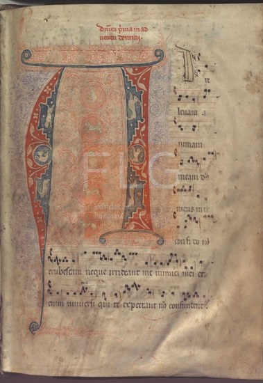 [Antifonario de la misa] [Msica manuscrita], [S. XIII-XIV]. Fol. 1r