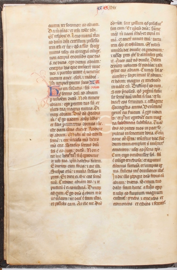 [Biblia latina], [S. XIV, 2 mitad - XV]. Fol. 13v